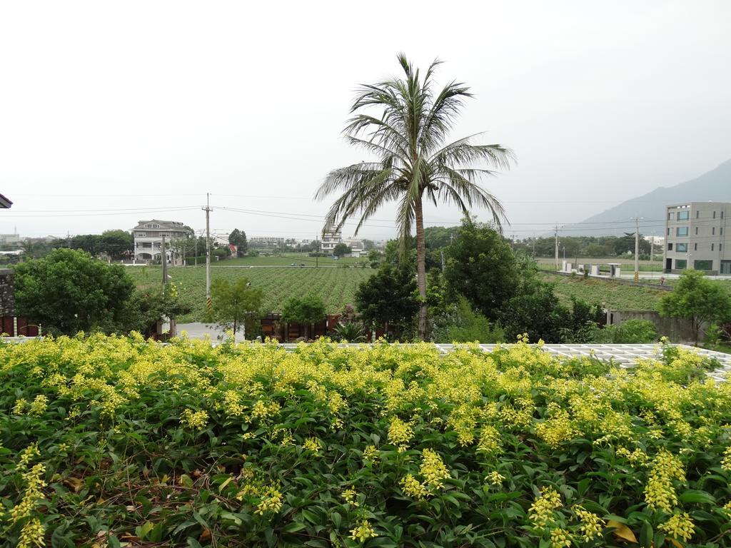 جيان 花蓮 達芙妮花園民宿 المظهر الخارجي الصورة